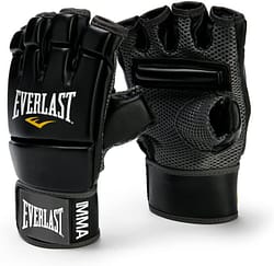 Everlast MMA kickboxing gloves