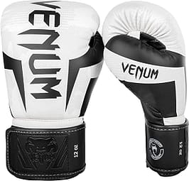 Best Boxing gloves for training