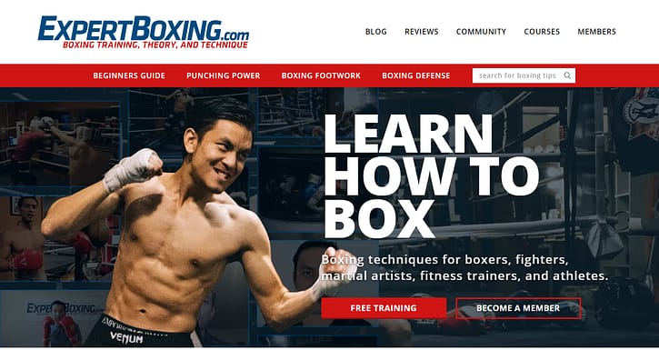 EXpert Boxing Review